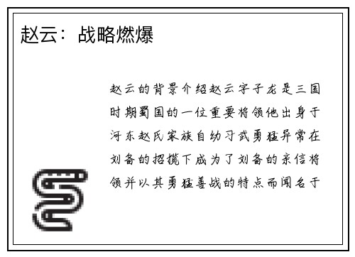 赵云：战略燃爆